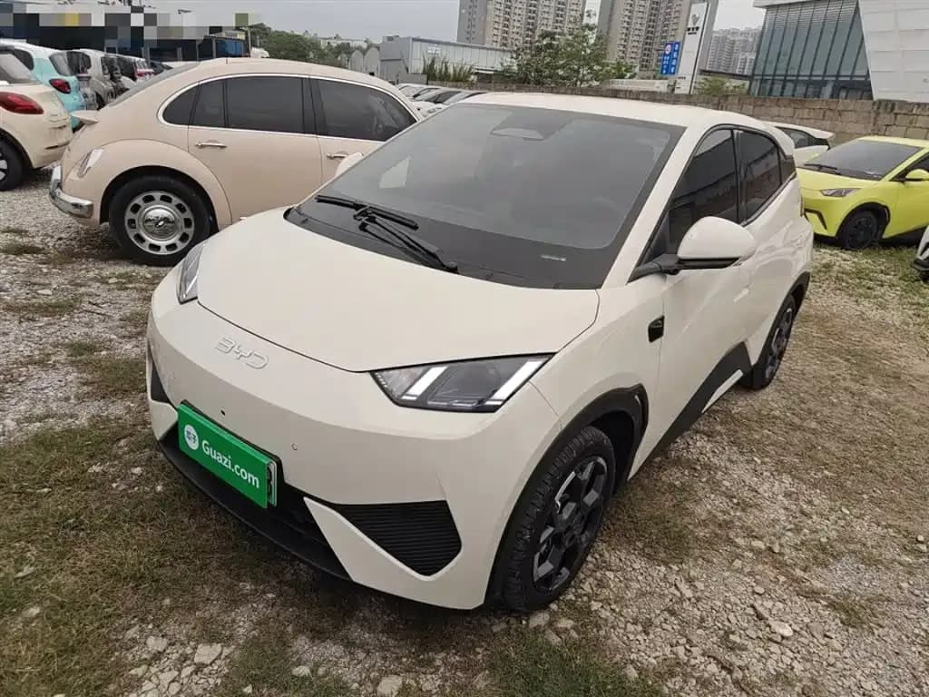 BYD Seagull