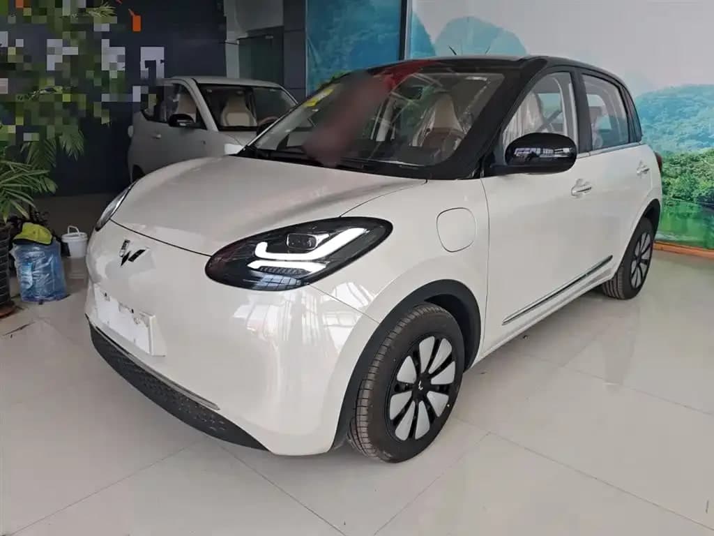 Wuling Bingo