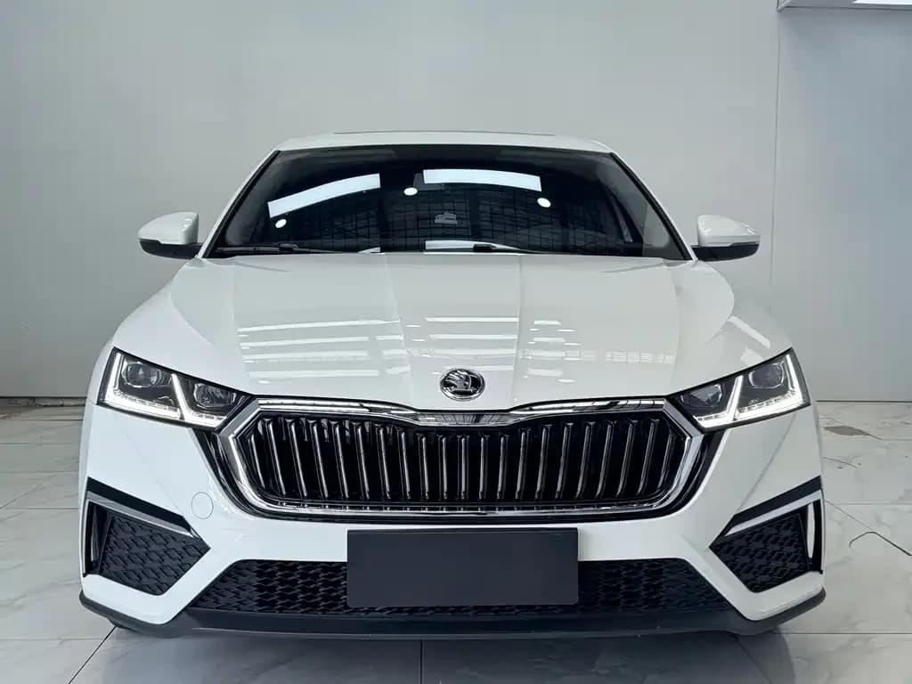 Skoda Rui