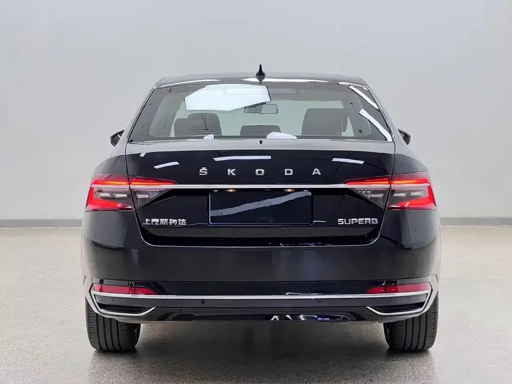 Skoda Pai — фото 2