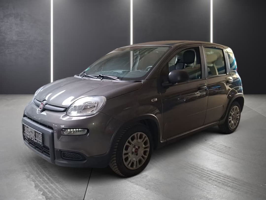 Fiat Panda — фото 1