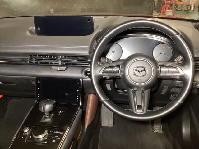 Mazda MX 30 EV Model — фото 2